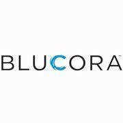 BLUCORA INC