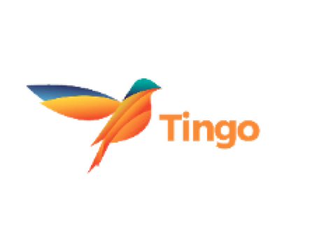 TINGO INC