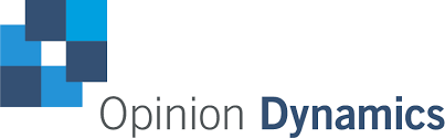 Opinion Dynamics