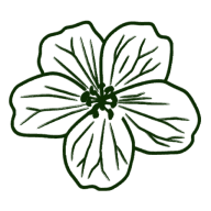 PERENNIAL SERVICES GROUP