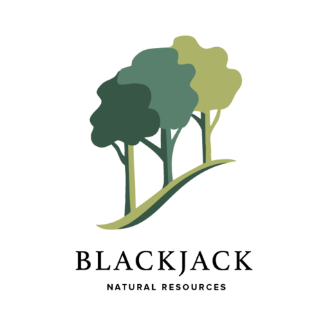 Blackjack Natural Resources