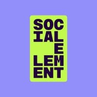 THE SOCIAL ELEMENT LIMITED