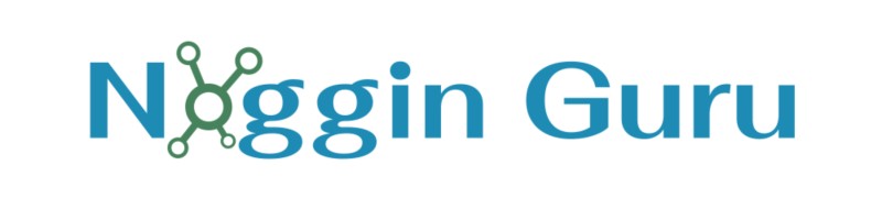 Noggin Guru