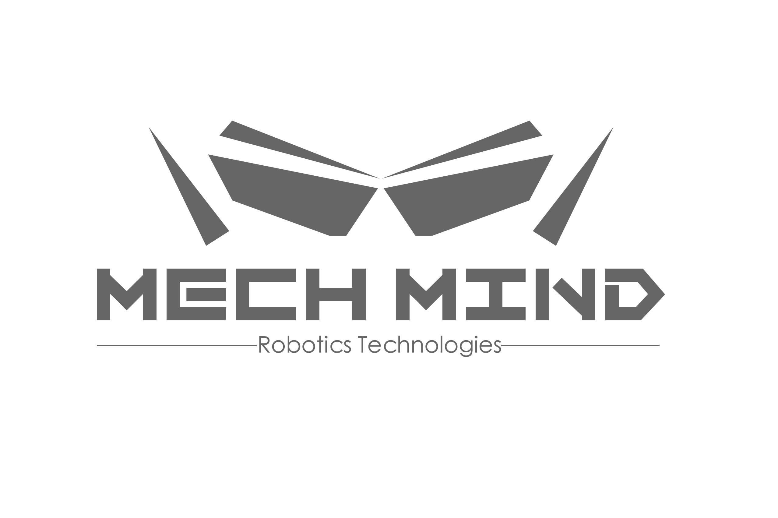 MECH-MIND