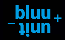 ​BLUU UNIT BETEILIGUNGS GMBH