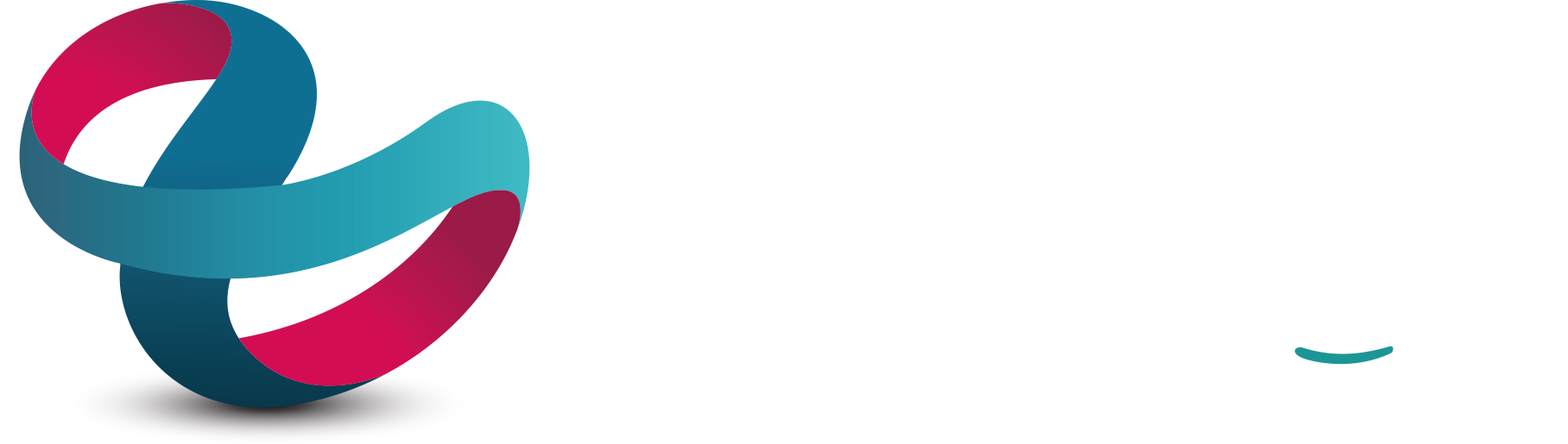 SMIZER