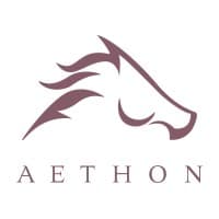 AETHON ENERGY MANAGEMENT (US SHALE PRODUCTION AND INFRASTRUCTURE ASSETS)