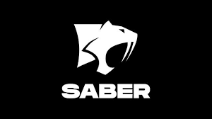 Saber Interactive (selected Assets)
