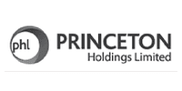 PRINCETON HOLDINGS