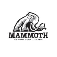 MAMMOTH ENERGY (AQUAWOLF SUBSIDIARY)