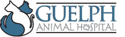 GUELPH ANINAL HOSPITAL PROFESSIONAL CORPORATION