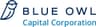 Blue Owl Capital