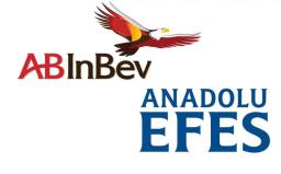 Inbev Efes