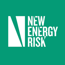 NEW ENERGY RISK