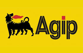 Nigerian Agip Oil Company (naoc)