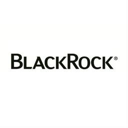 Blackrock Long Term Private Capital