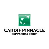 CARDIF PINNACLE INSURANCE