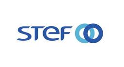 STEF GROUP