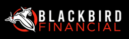 BLACKBIRD FINANCIAL LP