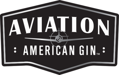 AVIATION GIN LLC