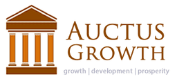 AUCTUS GROWTH PLC