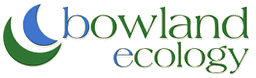 BOWLAND ECOLOGY