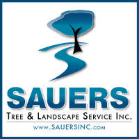 SAUERS TREE & LANDSCAPE SERVICE