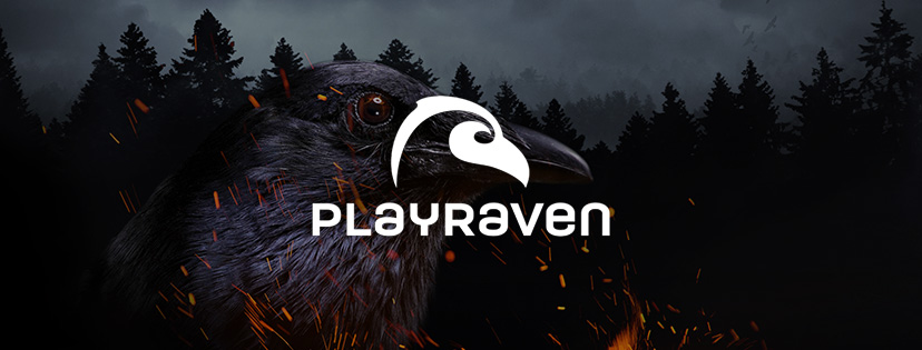 PLAYRAVEN OY