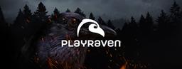 PLAYRAVEN OY