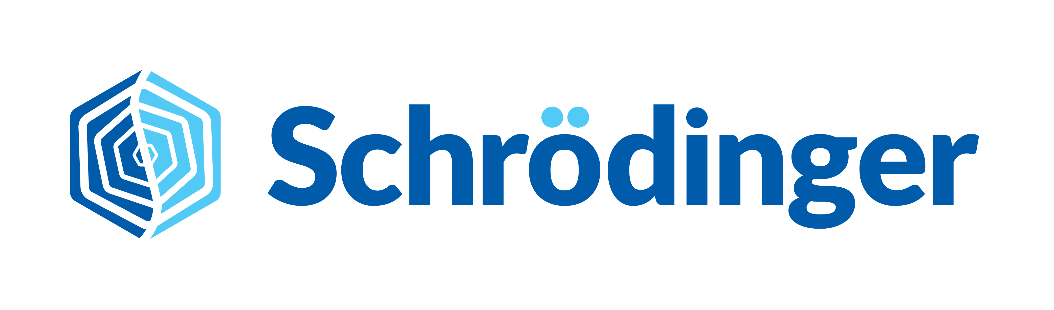 SCHRODINGER INC