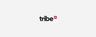 tribe pr