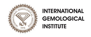 IGI NETHERLANDS