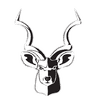 kudu dynamics