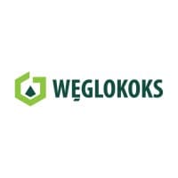 WĘGLOKOKS