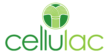 CELLULAC PLC