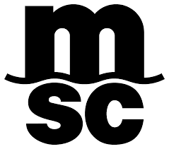 Msc Mediterranean Shipping Company