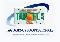TAG AGENCY PROFESSIONALS INC