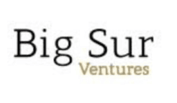 BIG SUR VENTURES