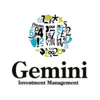 GEMINI INVESTMENTS