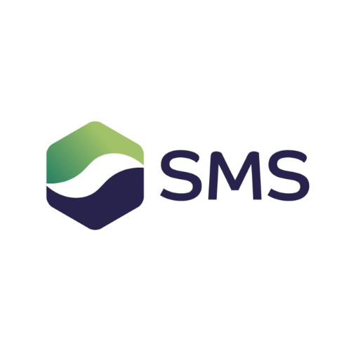 SMART METERING SYSTEMS PLC