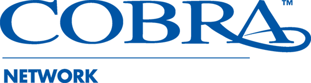 COBRA HOLDINGS PLC