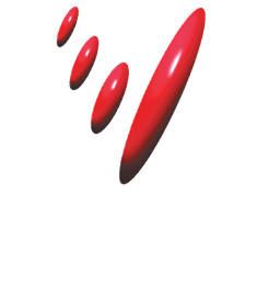 VIZ BRANZ HOLDINGS