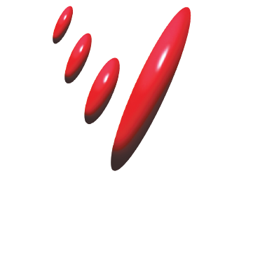VIZ BRANZ HOLDINGS