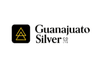 Guanajuato Silver Company