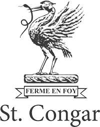 ST CONGAR LAND