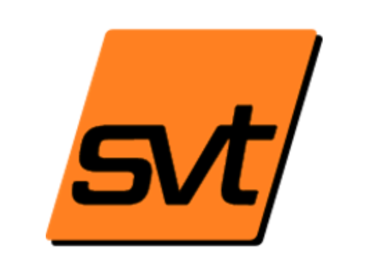 SVT HOLDINGS GMBH