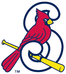 THE SPRINGFIELD CARDINALS