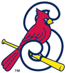 THE SPRINGFIELD CARDINALS