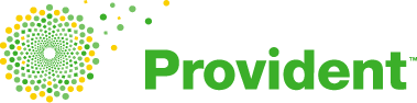 PROVIDENT ENERGY MANAGEMENT INC
