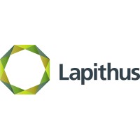 LAPITHUS MANAGEMENT